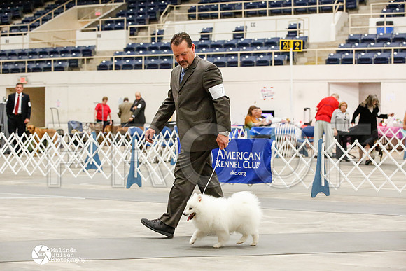 _JJ_7166-AblnMay2014-web