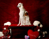 Silken Windhound Jan Decker