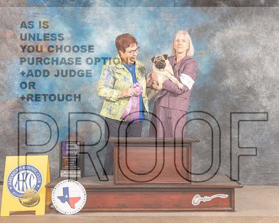 Pug #7 Fri WD Judge Pam Peat-MMJ_7113-FW2022-HR3