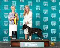 Belynda Crick Flynn Premier 2024