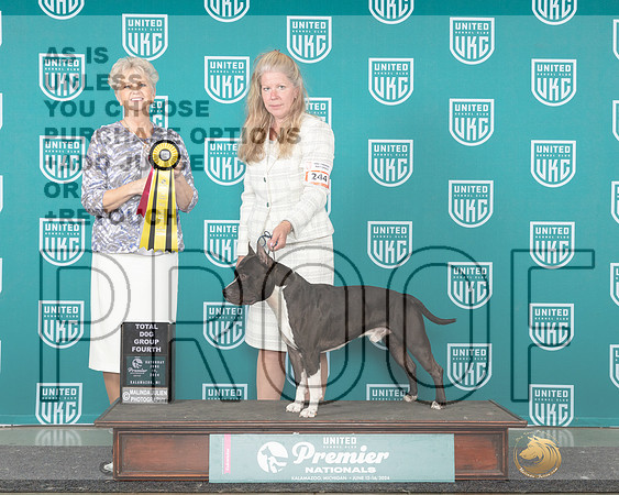 American Pit Bull Terrier #244 Sat TDG4 Judge Diane Price_JP_2660e_Premier_2024-HR3