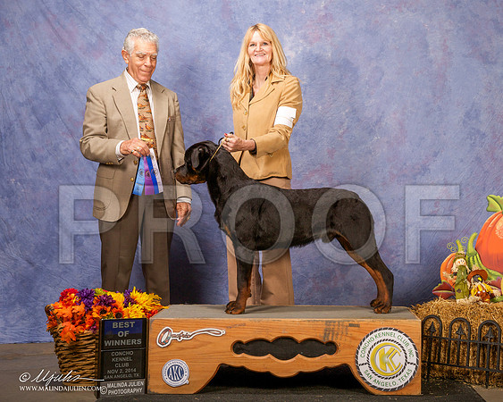 _CL_4587 - Version 2-SanAngelo2014-HR3