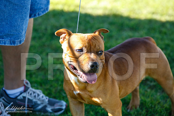 _JN_4378-AlamogordoOct2014-HR3