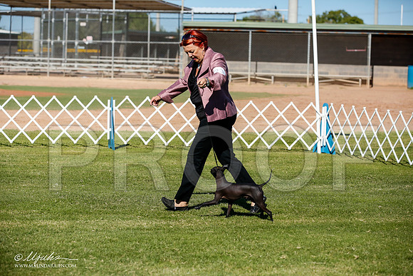 _JJ_6908-AlamogordoOct2014-HR3