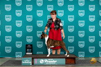 Boxer #1235 Thur T10AOE Judge Diane Price