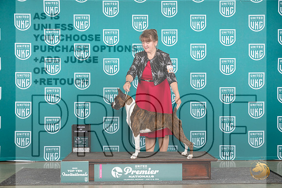 Boxer #1235 Thur T10AOE Judge Diane Price__JP_0785_Premier_2024_HR3