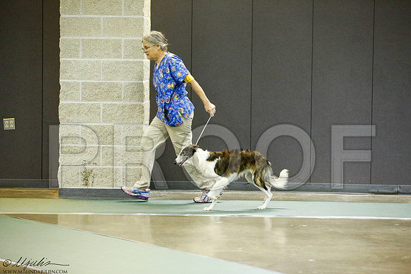 _J3L6981-BeltSep2014-HR