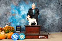French Bulldog #9 Sun BOB Judge Donnelle Richards