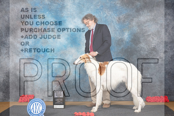 Borzoi #5 Sun WDBOWM Judge Pat Trotter__JP_0452_Sulphur Springs_2024_HR3