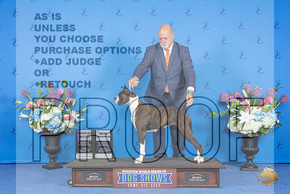 Boxer #20 FRI WB NC M Judge Jon Cole__JP_9000_Houston_2024_HR3