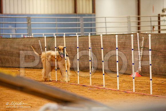 _JJ_5685-AfgBeltonOct2014-HR3