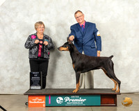 Doberman Pinscher #772 Thur Top10BOB Judge Mary Ellen Meyer
