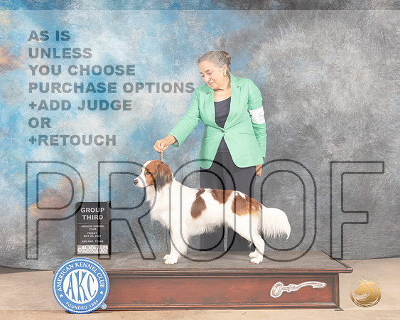 Kooikerhondje #5 Fri G3 Judge Gloria Kerr-MMJ_3330-Addison2022-HR3