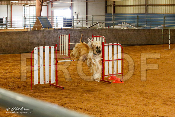 _JJ_5882-AfgBeltonOct2014-HR3