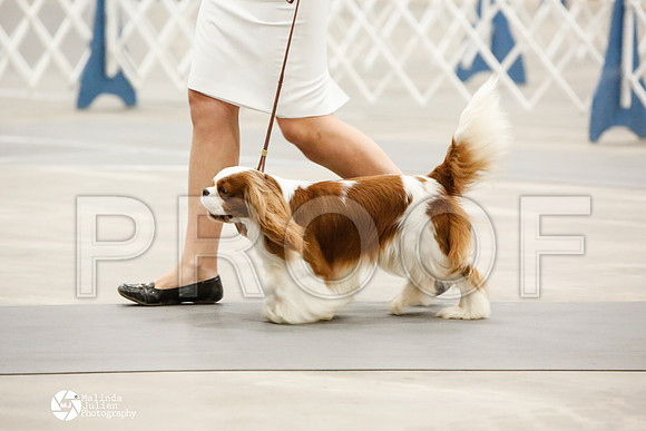 _CK_7945-AblnMay2014-web