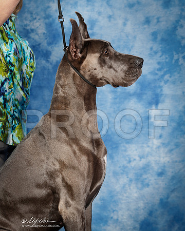 _ST_6907_2-SAJul2014-HR3
