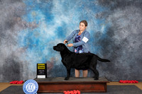 Labrador Retriever #19 Sun G3 Judge Sidney Marx