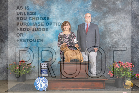 Norfolk Terrier #9 Fri G1 Judge Karen McFarland__JP_4316_San Antonio_2024_HR3