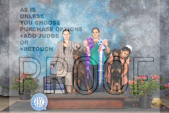 Doberman Pinschers #J7 J201 Sat__JP_5910_San Antonio_2024_HR3