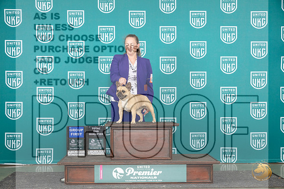 French Bulldog #1473 Sun G1TD Judge Stephanie Mueller__JP_3208_Premier_2024_HR3