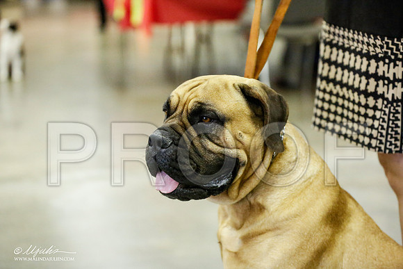_RH_1547-BeltonJan2015IABCA-HR3