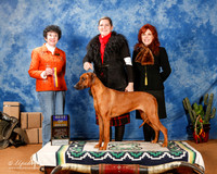 Rhodesian Ridgeback #36 Sun BOB