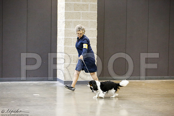 _J3L0218-BeltSep2014-HR