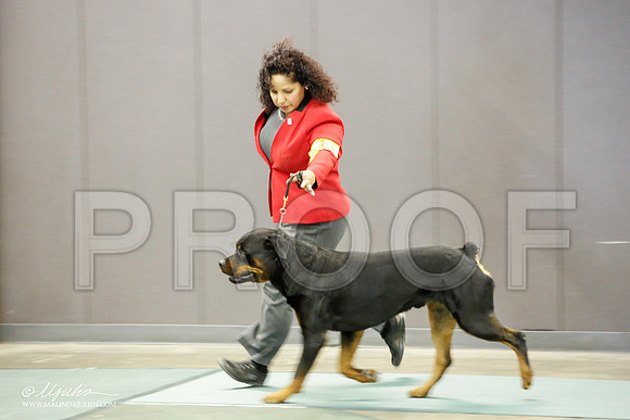 _JN_2137-BeltonJan2015-HR3