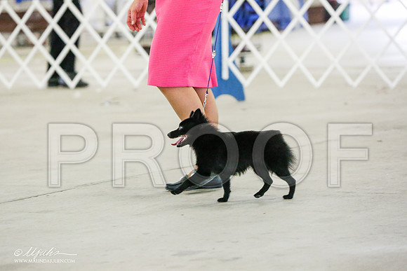 _RH_0482-AlamogordoOct2014-HR3