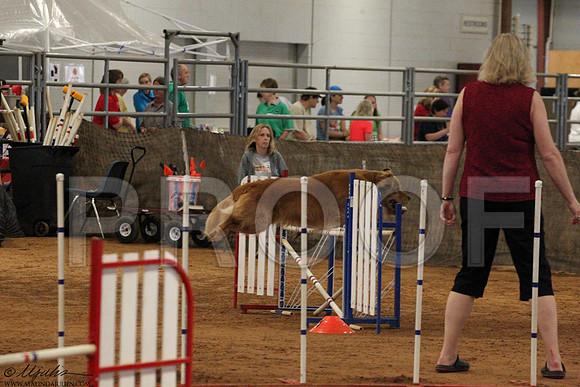 JWWSunAgility-5193LR