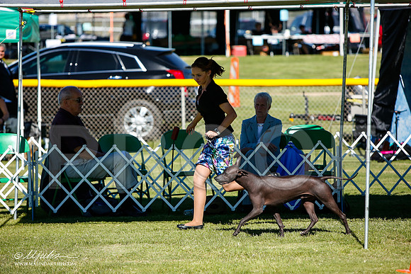 _JJ_6045-AlamogordoOct2014-HR3