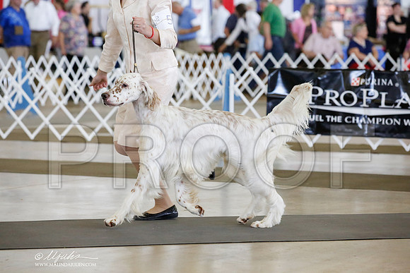 _CK_0824-DallasJul2014-HR3