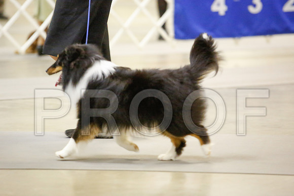 _JN_6008-AmarilloSept2014-HR3