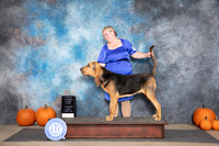 Bloodhound #7 Sun G3 Judge Hal Biermann
