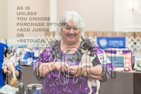 *Candids Fri ChihuahuaJJL_3610_HstnTOY_2022_HR3