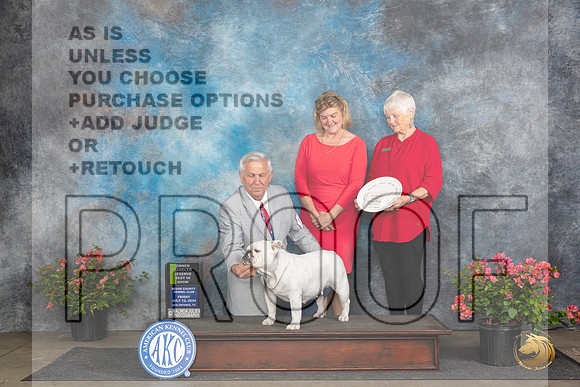 Bulldog #12 Fri OHRBIS Judge Elizabeth ‘Beth’ Sweigart__JP_4592_San Antonio_2024_HR3