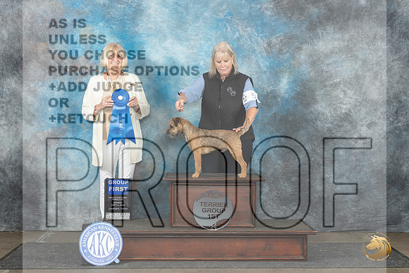 Border Terrier #5 Mon G1 Judge Debra Thornton__JP_4545_Lubbock_2024_HR3