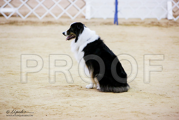 _JN_7017-ASCACollegeStationNov2014-HR3