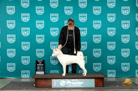 Hekkaido #691 Fri BOB Judge Stephanie Mueller
