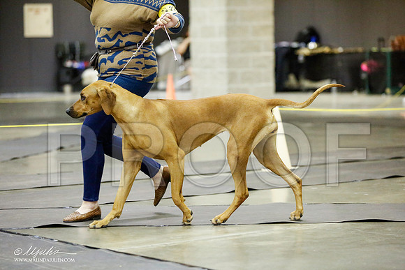 _RH_1420-BeltonJan2015IABCA-HR3