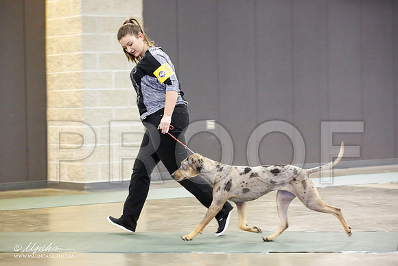 _JN_1345-BeltonJan2015-HR3