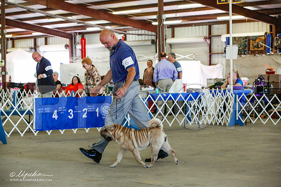 _JJ_4432-AlamogordoOct2014-HR3