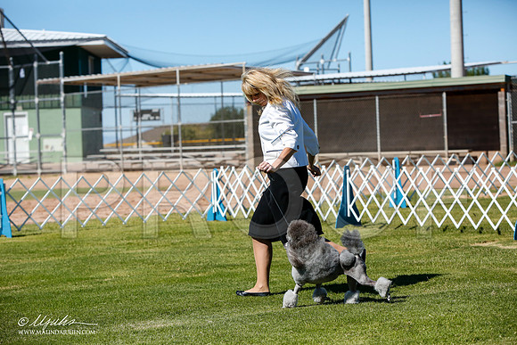 _JJ_4742-AlamogordoOct2014-HR3
