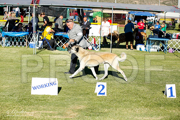_JN_9844-AlamogordoOct2014-HR3