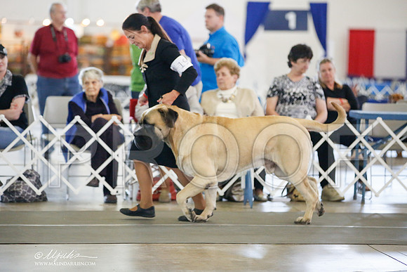 _JJ_8070-DallasJul2014-HR3