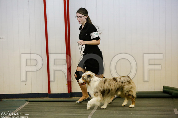 _MJ_5731-DentonMar2015-HR3