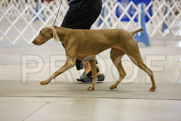 _JJ_2035-AmarilloSept2014-HR3