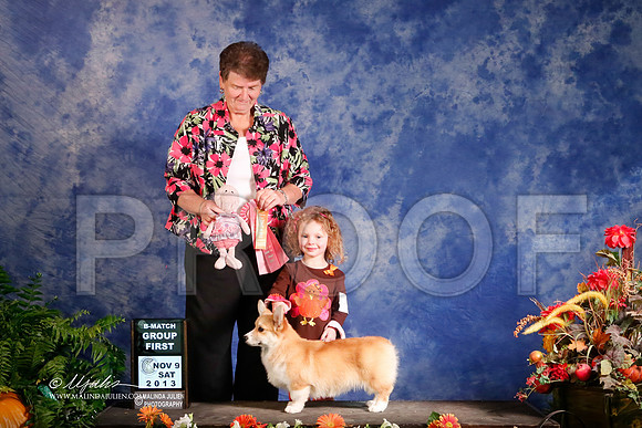 CorgPW-4963-HstnNov13-HR