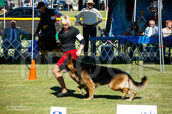 _JJ_5467-AlamogordoOct2014-HR3