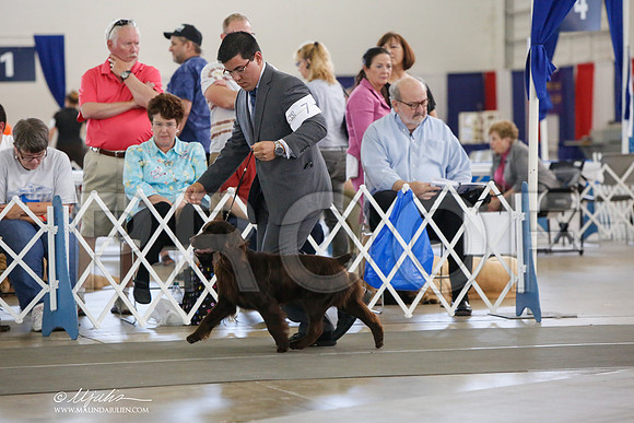 _JJ_1450-DallasJul2014-HR3
